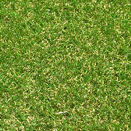 आर्टिफिशियल ग्रास प्रीमियम (4 टोन)