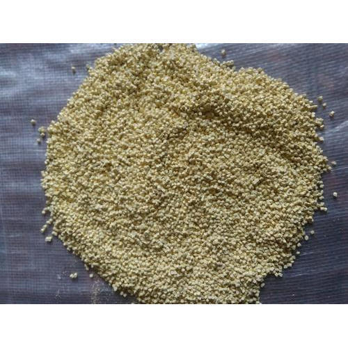 आइवरी मास्टरबैचेस