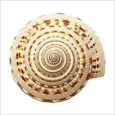 विष्णु चक्र