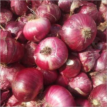 Red Onion