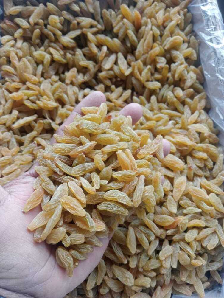 ताजी सूखी किशमिश