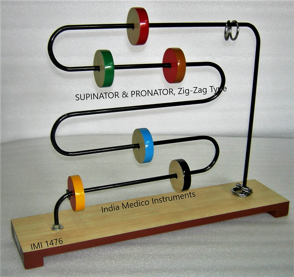Supinator And Pronator Zig Zag Type. Imi-1476 Age Group: Children