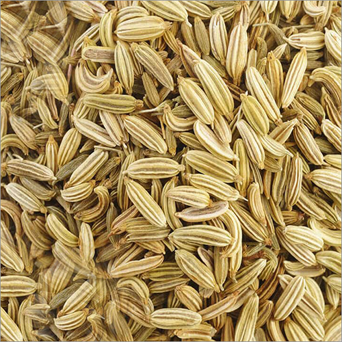 Fennel Seeds