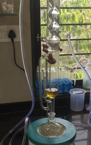 समुद्री शैवाल Biostimulants परीक्षण सेवाएँ