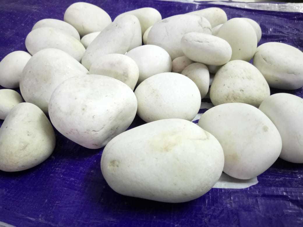 Cheap Price Decorative Garden Stone Pebble Patio Pebble Stone Wholesale White Pebble Solid Surface