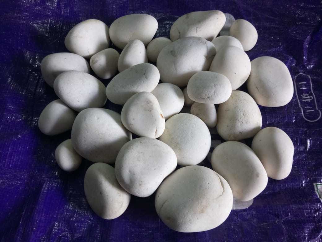 Cheap Price Decorative Garden Stone Pebble Patio Pebble Stone Wholesale White Pebble Solid Surface