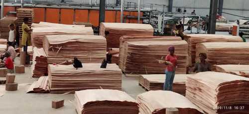 गैबॉन फेस वीनर