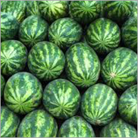 Fresh Watermelon - Sweet, Fresh Hydrating Fruit | Pesticide-Free, Chilled Mint-Spice Blend, Muscle Relief Benefits