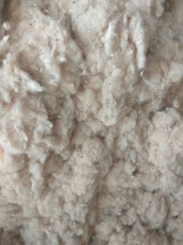 Cotton Seed Linter Ash %: 1.5 Max
