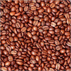 Common Arabica Coffee Beans