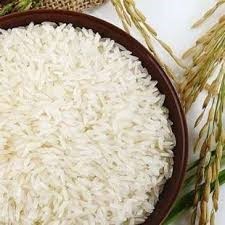 Katarni Rice Broken (%): Under 2%