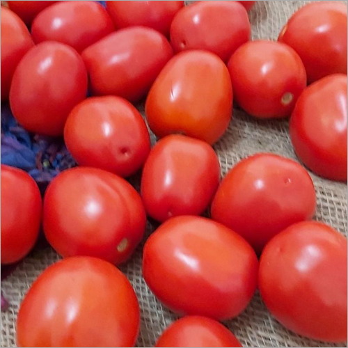Fresh Tomato