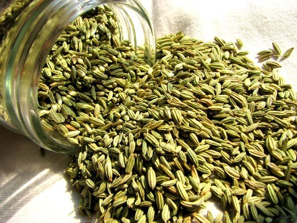 Fennel Seeds - Whole Granule, Premium Green Quality | Raw Processing, Sweet Taste, 25 Kg Shelf Life