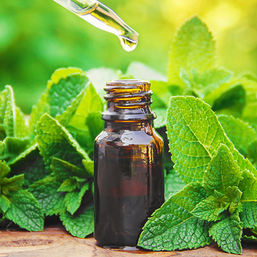 Natural Peppermint Oil - Carvone Max 1%, Menthol 30-55% | Steam Distillation, Room Temperature Storage, Relieves Colds and Headaches