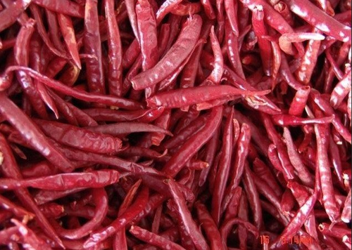 Sanam Stemless Red Chili Grade: Export Quality