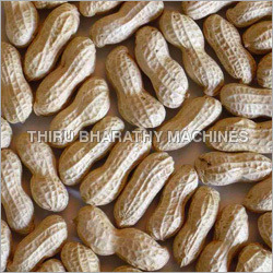 सामान्य मूंगफली