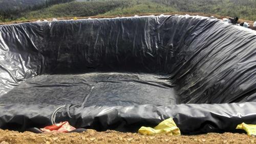 Ldpe Orchand Pond Geomembrane Thickness: 400-1500 Micron Shape: Rectangular - Color: Black