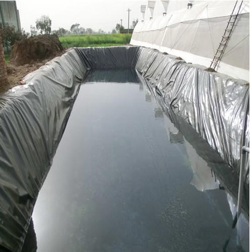 Hdpe Water Storage Geomembrane For Lagoons - Color: Black