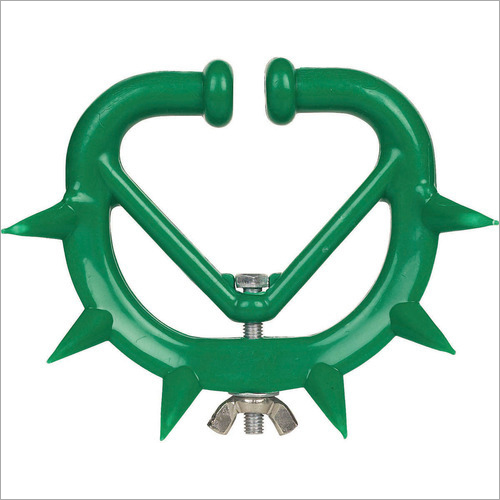 Cattle Weaner - Color: Green