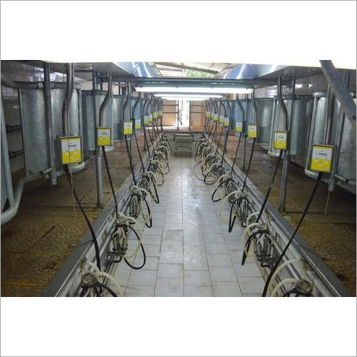 Herringbone Pipeline Milking Parlor - Color: Silver / Grey