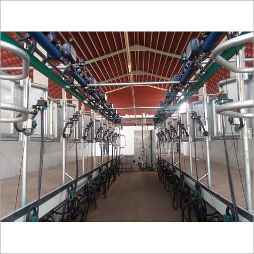Herringbone Automatic Milking Parlor - Color: Silver