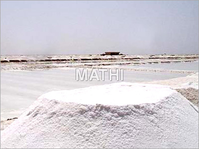 कच्चा नमक