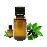 Premium Ajwain Oil - Odour: Spicy Herbal Fragrance