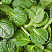 Green Spinach