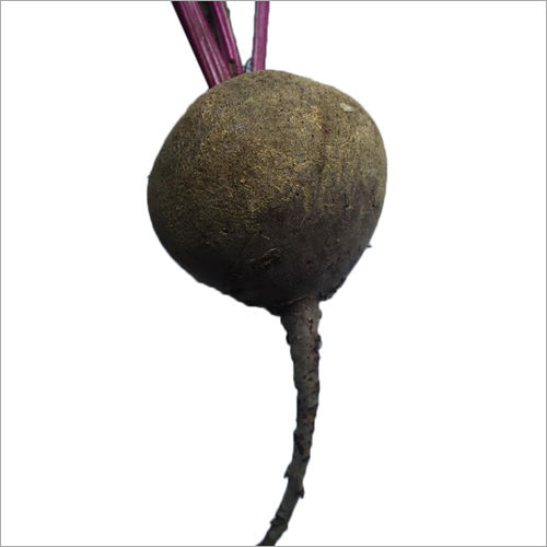 Beet Root