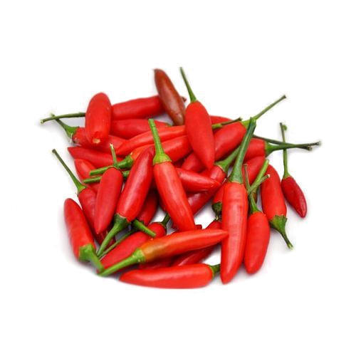 Bird Eye Chilli