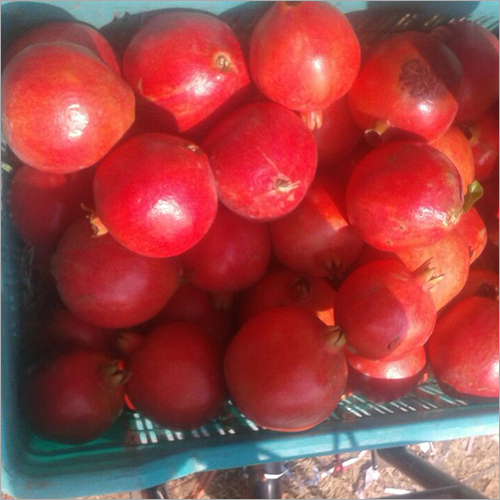 Fresh Pomegranate - Whole Fruit | Sweet Flavor, 15 Days Shelf Life, High Antioxidant Content, Grown With Organic Fertilizers, Anti-viral Properties