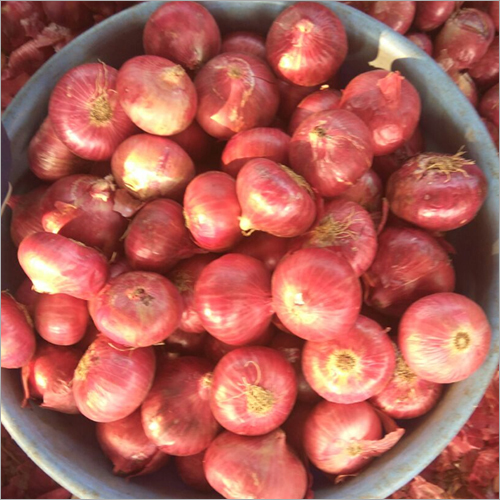Fresh Onion - Raw, 20 Days Shelf Life | Common Cultivation From India