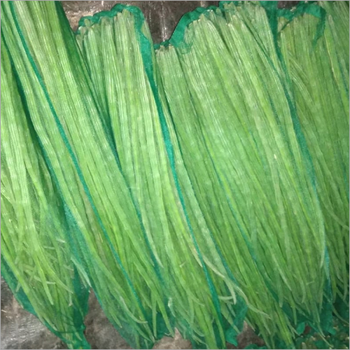 Fresh Drumstick - Raw | Long Shelf Life (10 Days), High Nutrition, Magnificent Quality, Premium Fertilizer Cultivated