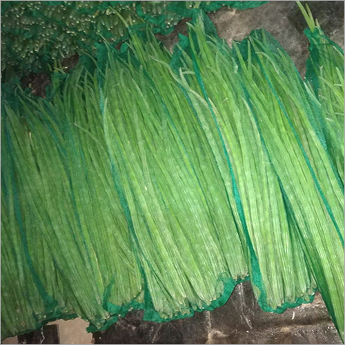 Fresh Drumstick - Raw | Long Shelf Life (10 Days), High Nutrition, Magnificent Quality, Premium Fertilizer Cultivated