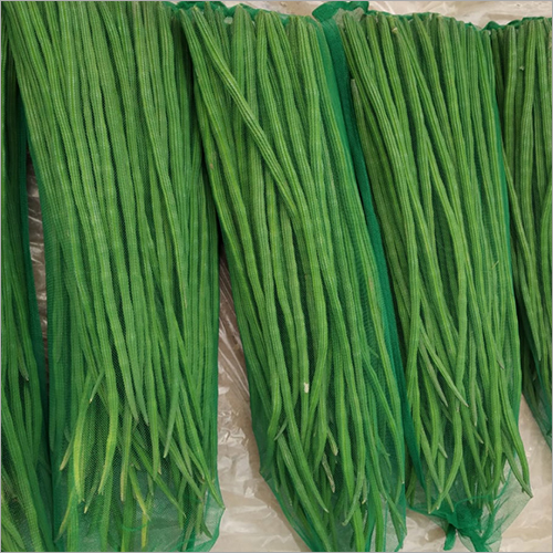 Fresh Drumstick - Raw | Long Shelf Life (10 Days), High Nutrition, Magnificent Quality, Premium Fertilizer Cultivated