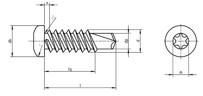 Din 7504ntx Self Drilling Screws