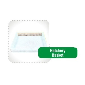 Hatchery Basket
