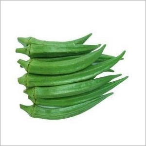 Lady Finger
