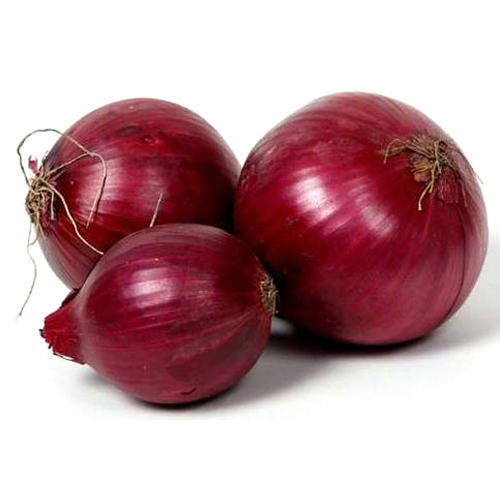 Round Red Onion