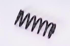 Industrial Compression Spring - Iron & Stainless Steel, Customized Sizes 48.9mm Length, 1-68mm Wire Diameter, Black & Blue, 11.96 N/mm Spring Rate, Coil Style