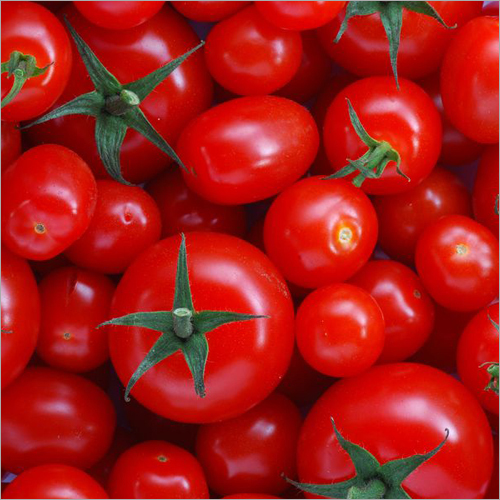 ताजा टमाटर