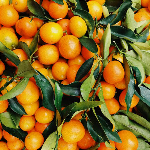 Fresh Orange