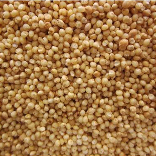 Bajra Seed