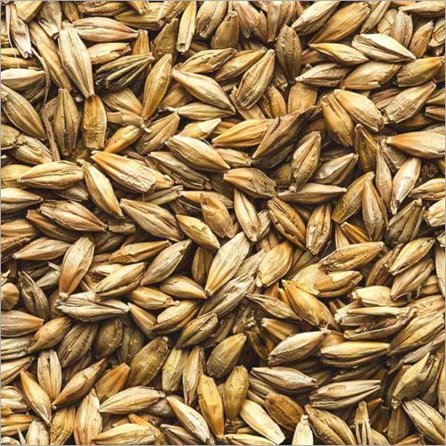 Wheat