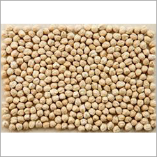 Dried Chickpea