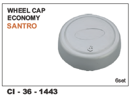 Wheel Cap Economy Santro - Durable Polypropylene Material | Vehicle Type: 4 Wheeler, Warranty Included
