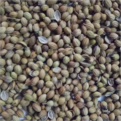 Coriander Seed - Processed And Cleaned For Amazing Taste | High Aroma, Long Shelf Life, Medicinal Properties