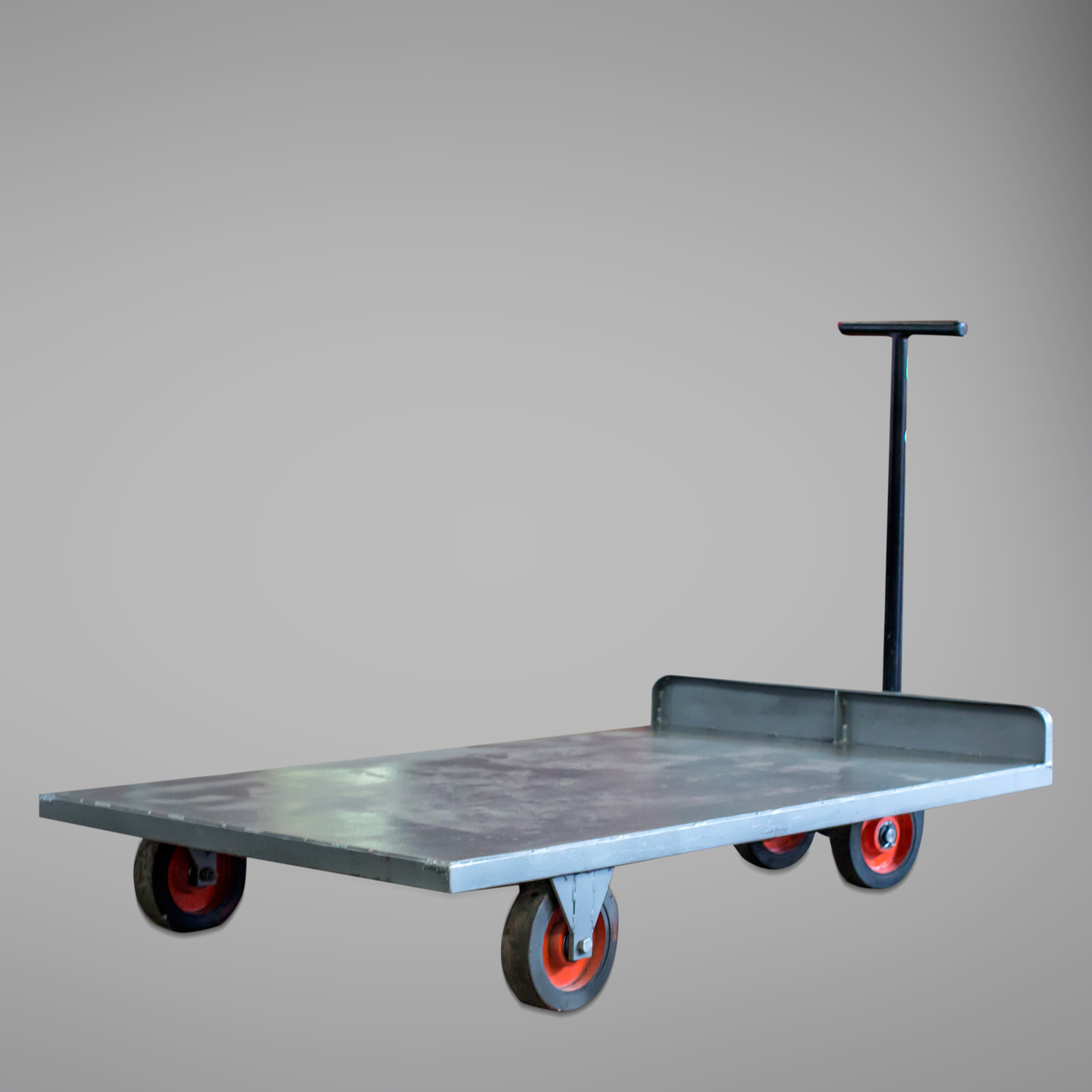 Easy To Operate Handle Platform Trolley