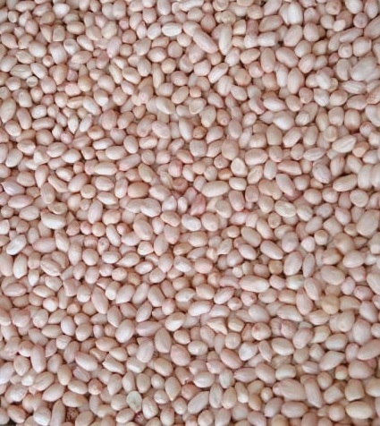 भारतीय कच्ची मूंगफली