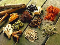 मसाले और मसाला